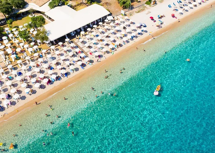 Aglaia Μπαρμπάτι